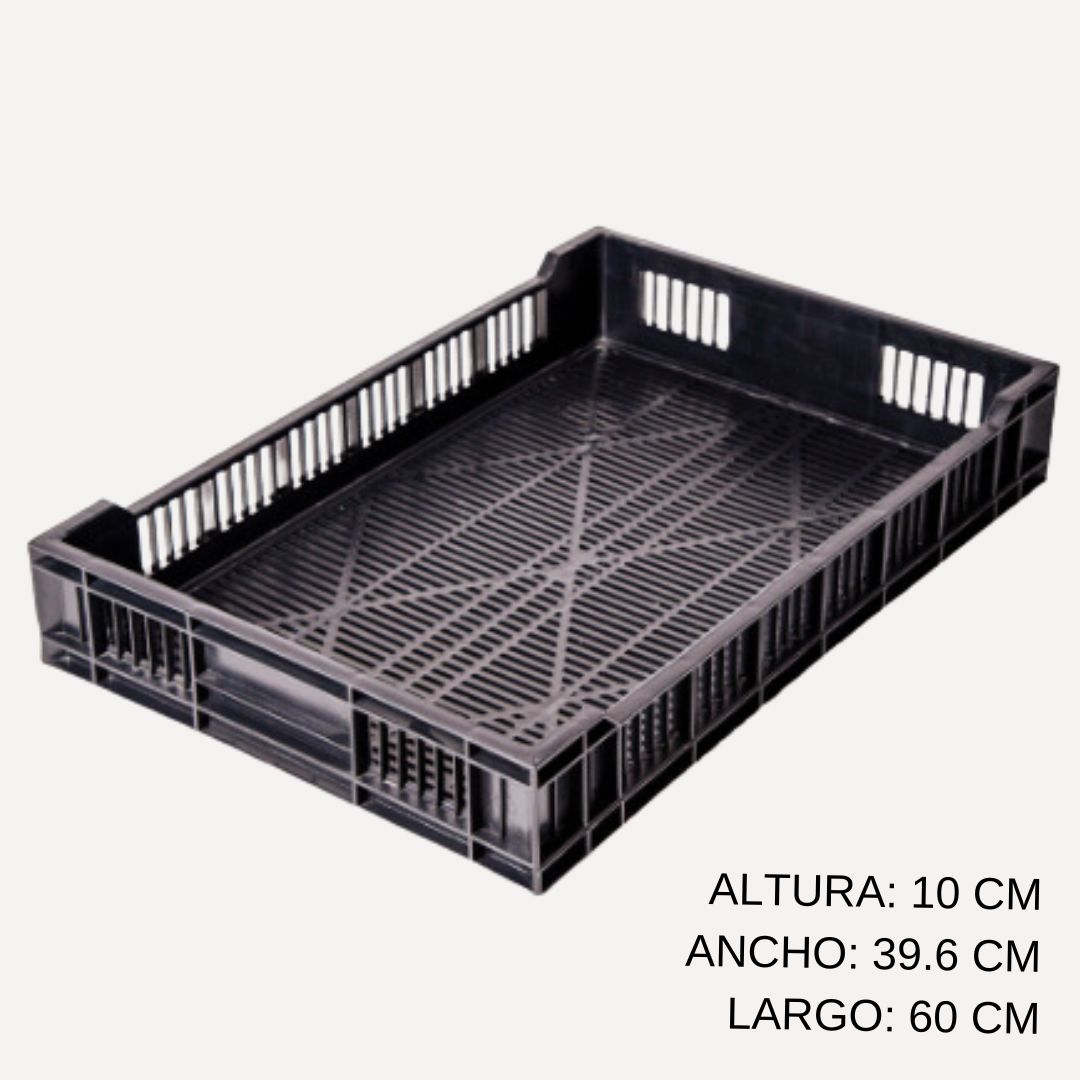 Agri Bandeja Frutillera Grande