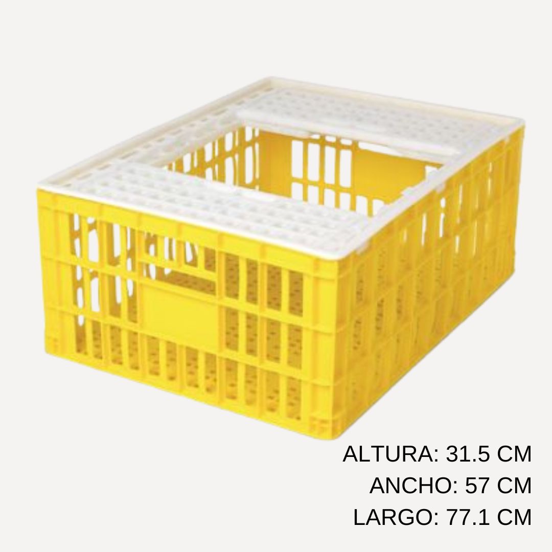 Cajon Ave Viva Alto C Tapa