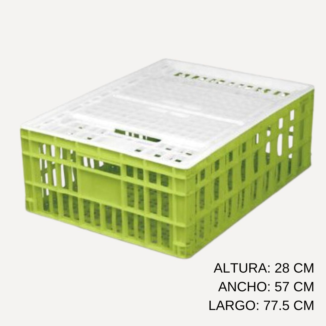 Cajon Ave Viva Bajo C Tapa