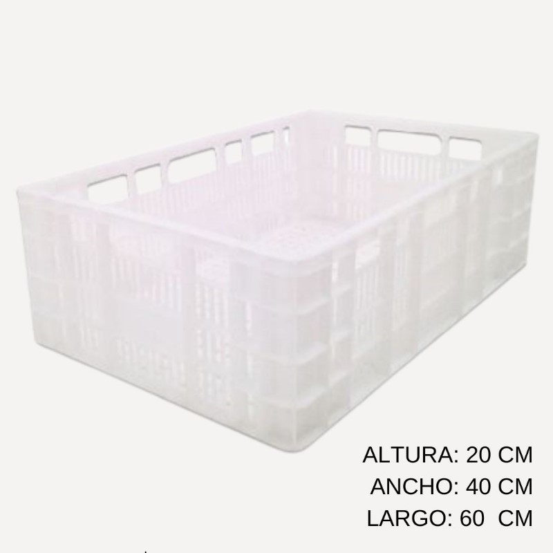 Frigo Bandeja 60x40x20